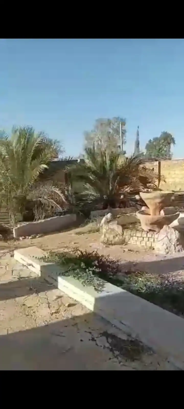 Syria Prime - عقارات سوريا برايم - Thumbnail image